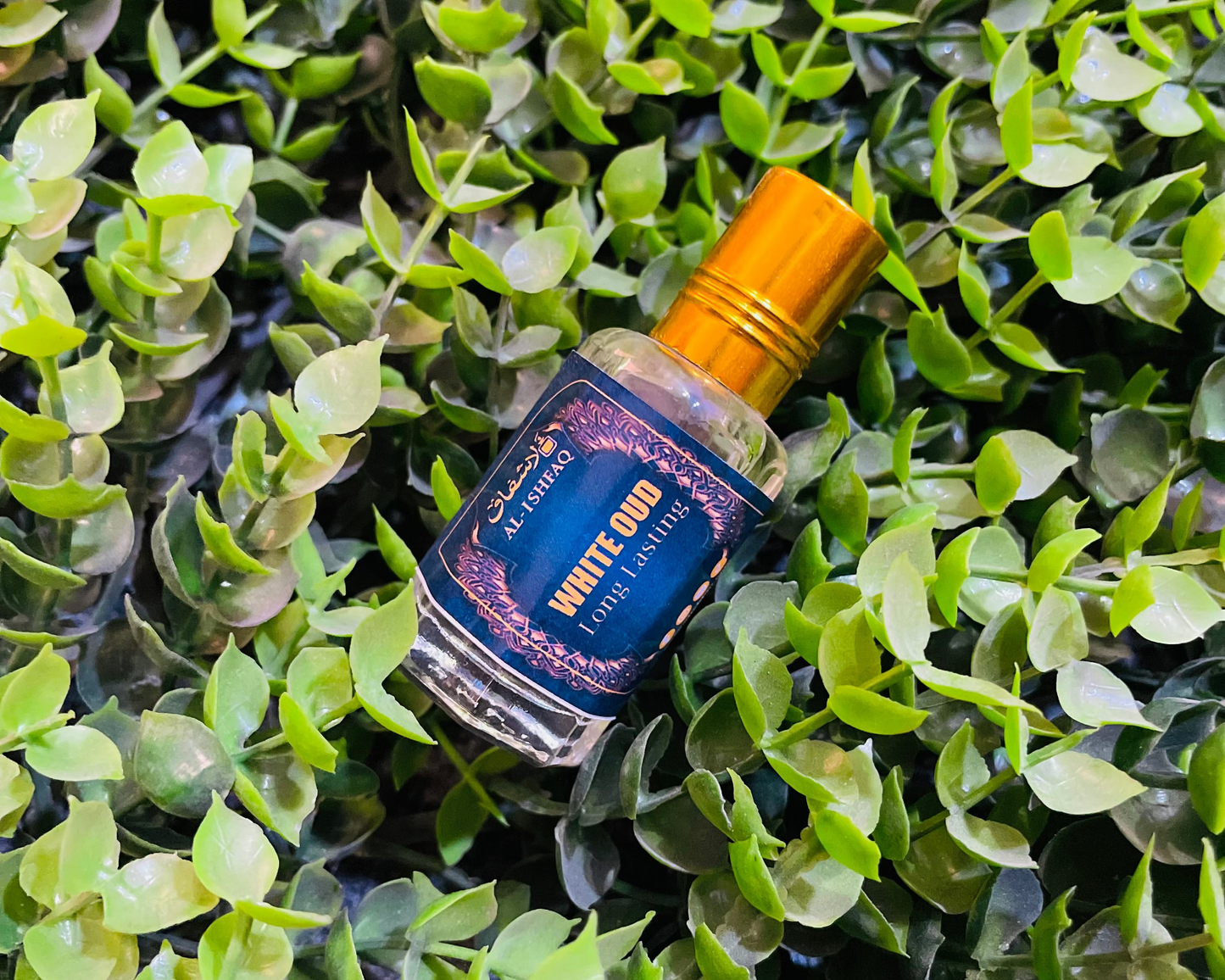 💥 5 Exclusive Attars in Combo Pack