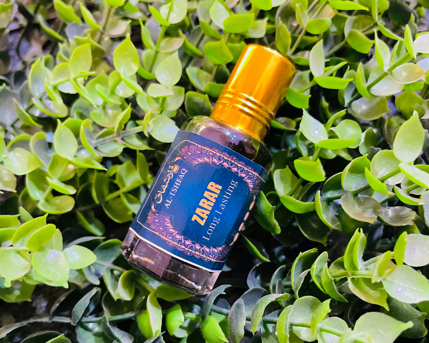 💥 5 Exclusive Attars in Combo Pack