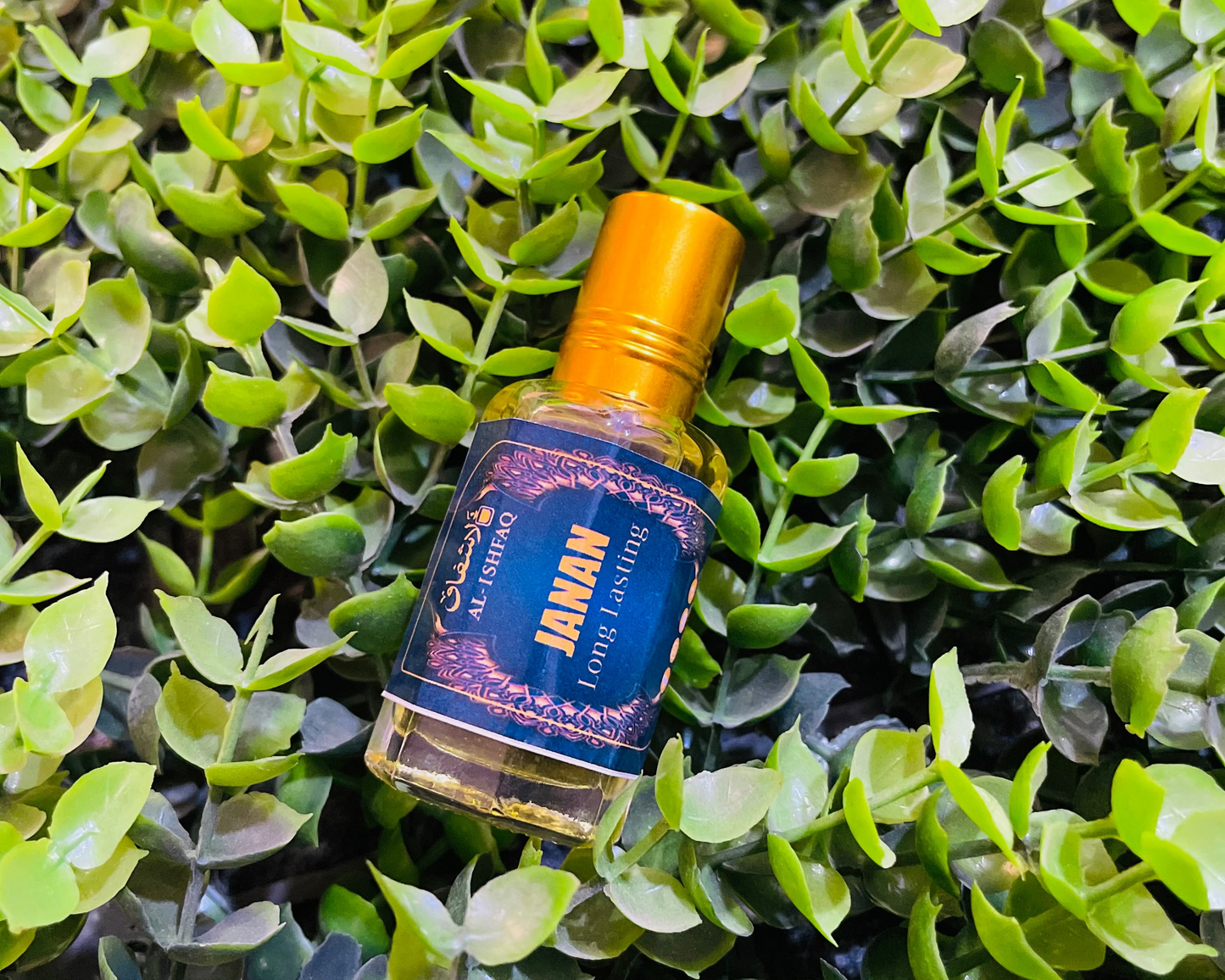 💥 5 Exclusive Attars in Combo Pack