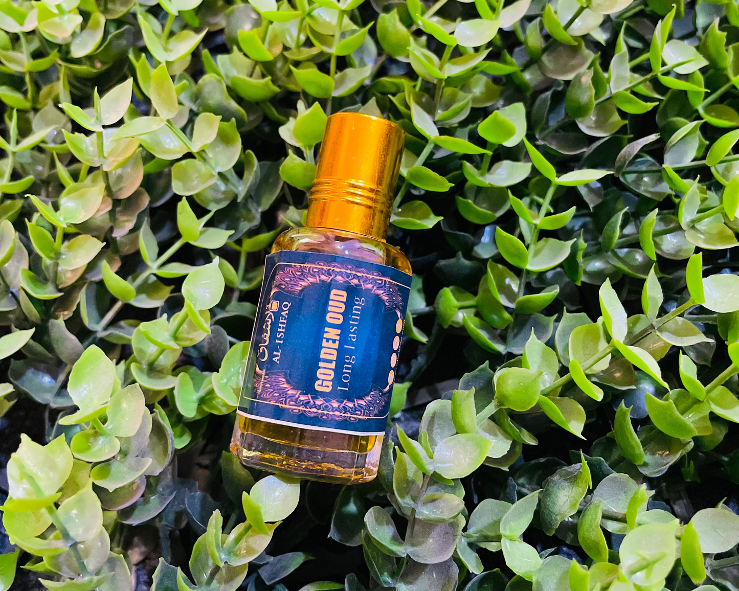 💥 5 Exclusive Attars in Combo Pack