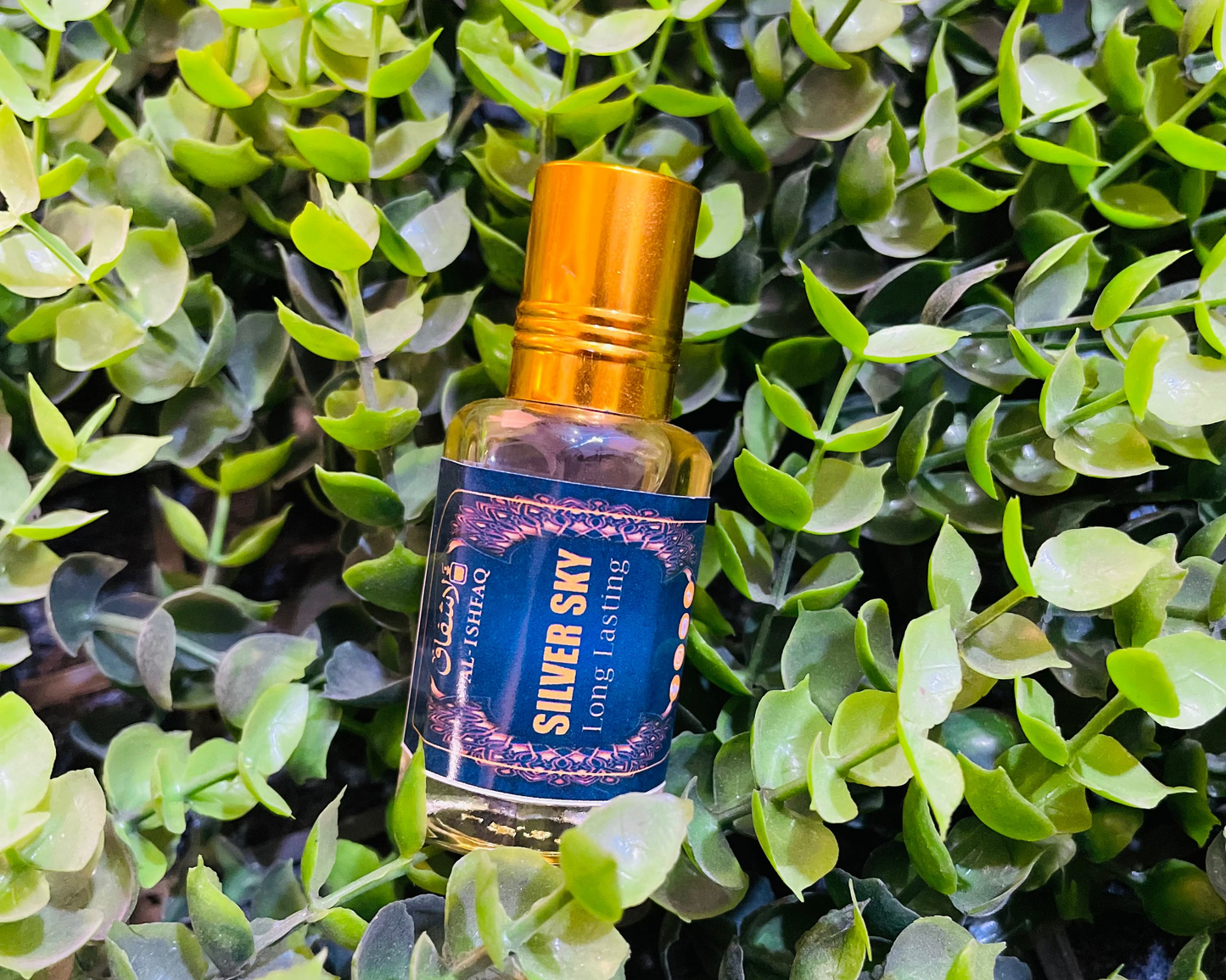 💥 5 Exclusive Attars in Combo Pack